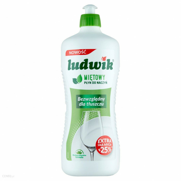 LUDWIK 900ML
