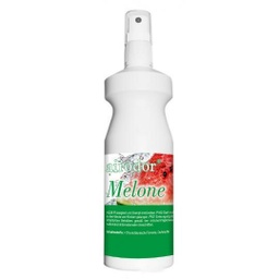 [5817] PRAMOL AIRODOR MELONE 200ML #28001.07752